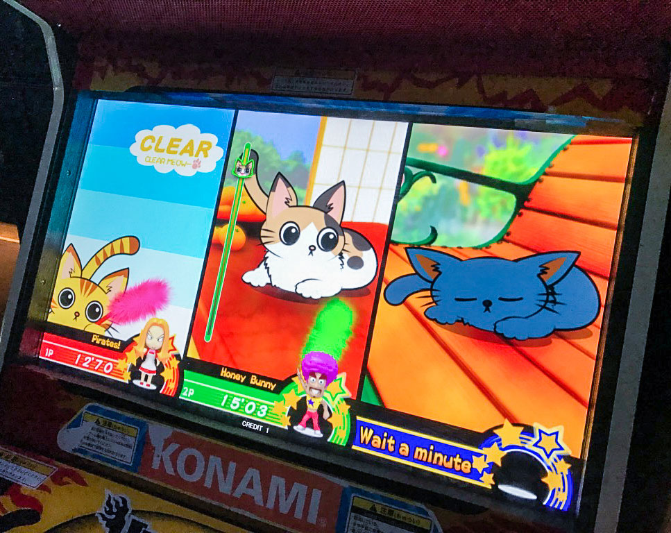 Taunt the Kittens in weird japanese arcade XD